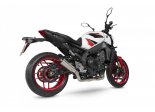 GSX-S 1000 15/16 RP-1 GP CARBON SI1009.CEM