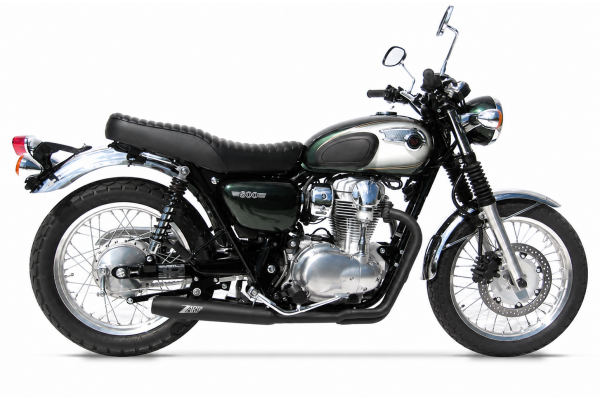 W800 11/12 Full kit 2:1 Low Mount Steel Race