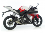 YZF 125 R 08/13 GP Style Full Line Ref: 8124