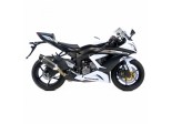 ZX-6R 09/14 One Carbon 8747