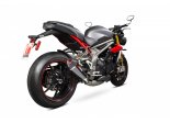 S 1000 RR 15/16 RP1-GP CARBON BM1001.CEM