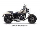 Tłumik typu Dyna Comp-S 2-1 06/17 Harley Davidson Stainless Steel REF: 005-3750199