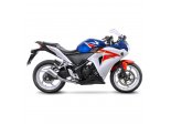 HONDA CBR 250 R 2011/13 LV-10 SLIP-ON STAL Ref: 15210