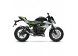 KAWASAKI Z 125 2019/20 GP CORSA SLIP-ON CARBON Ref: 3393