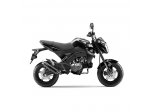 KAWASAKI Z 125 PRO 2017/19 GP CORSA MATTE FULL SYSTEM 1/1 CARBON Ref: 3394M