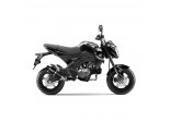 KAWASAKI Z 125 PRO 2017/19 GP CORSA EVO FULL SYSTEM 1/1 CARBON Ref: 3394E