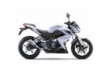 KAWASAKI Z 250 2015/16 LV-10 SLIP-ON STAL Ref: 15205