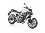 SUZUKI SFV 650 GLADIUS 2009/15 GP STYLE SLIP-ON STAL Ref: 8207