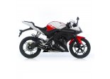 YAMAHA YZF-R 125 2008/13 GP STYLE BLACK FULL SYSTEM 1/1 STAL Ref: 8124B