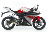 YZF 125 R 08/13 GP Style Full Line Ref: 8124