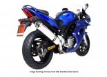 SV650 99/02 Factory Round Slip-on Karbon ESI65CEM