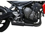 Tłumik S1 Tytanowy Kawasaki Z800